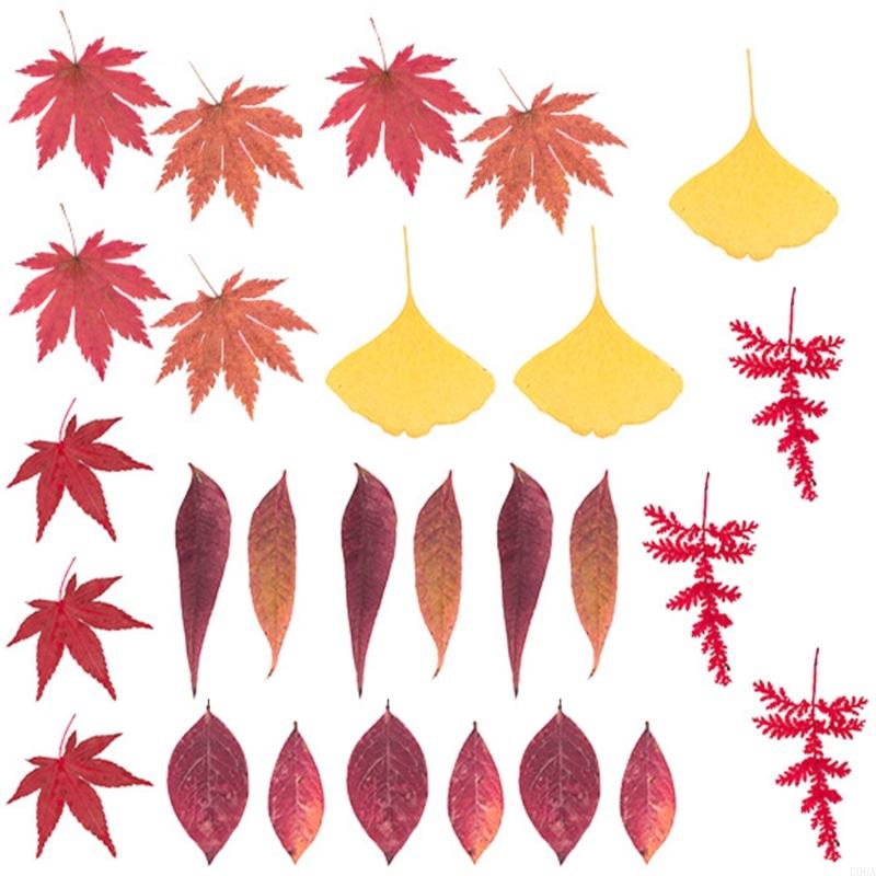 Fleur pressée séchée pour moul - Resin Craft Ideas avis et prix